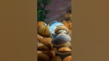 Two snails loving or fighting for love Animals ka Deewaniyath 😮❤️#tropicalfish  #aquariumfish #snail