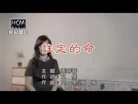 註定的命、張蓉蓉(kTV導唱字幕)高音質