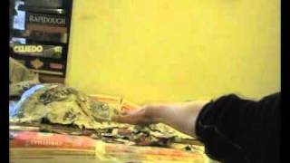 Behind The Scenes Papier Mache