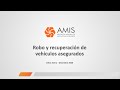 Conferencia sobre Robo y Recuperación de vehículos asegurados