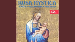 Office of the Presentation of the Virgin Mary - Responsorium Mirabile Deus comercium
