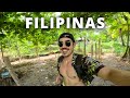 Vlog en filipinas   buceo con tiburones comidas y amigos