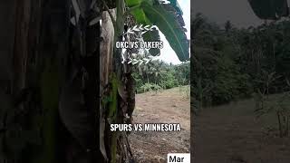 Western conference semi-finals #fyp