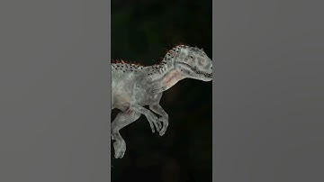 3d animal walk cycle done in maya #3d  #animation #maya #nvanimaton #art