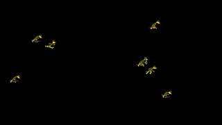 Shadow Agents From After Dark 4.0 Screensaver Suite