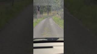 chemin de LA GRANDE VERRIÈRE au gîte rural BOISSEAU
