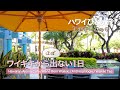【ハワイひとり旅10泊12日】Day5 │ 平日の午後３時ワイキキの真ん中でハッピーアワーを楽しむ │ 幸せがいくつも重なったミルクレープ │ ほぼワイキキから出ない１日 │ Hawaii Vlog