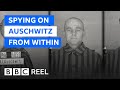 The man who volunteered to be imprisoned in Auschwitz - BBC REEL