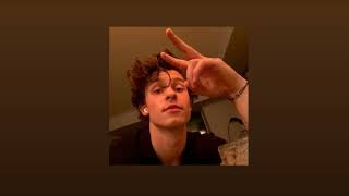 shawn mendes stitches [sped up] Resimi