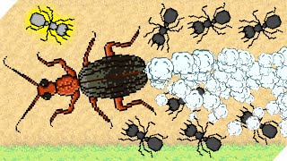 :    ! - Pocket Ants  