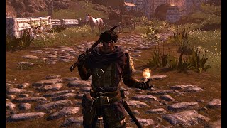 Idle & run Animations | optional mod | RfaD immersive chicken