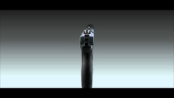 Steiner Bisley Pistol