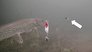 Ice Fishing NORTHERN PIKE with SUCKER Minnows