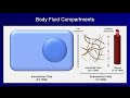 IV Fluids: Lesson 1 - Basic Principles