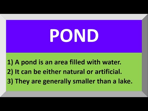 Video: Există un astfel de cuvânt ca pond?