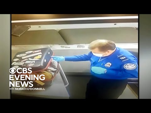 TSA officer discovers cat inside checked luggage