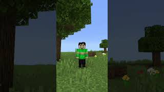 Minecraft most useless update