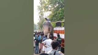 Ramaraajavu in Vallachira Kumbabarani