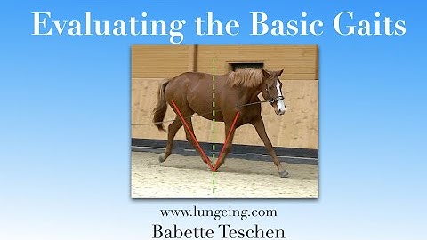 Evaluating the Basic Gaits