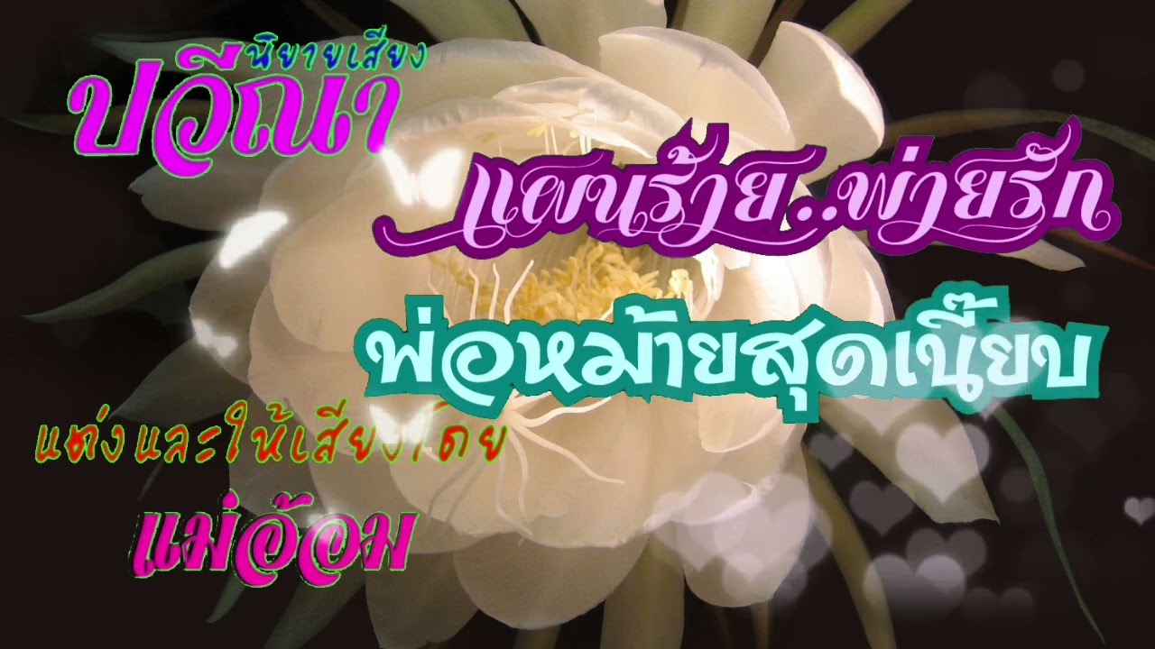 แผนร้ายพ่ายรักพ่อหม้ายสุดเนี๊ยบ(จบในตอน) #นิยายเสียง #meeaom