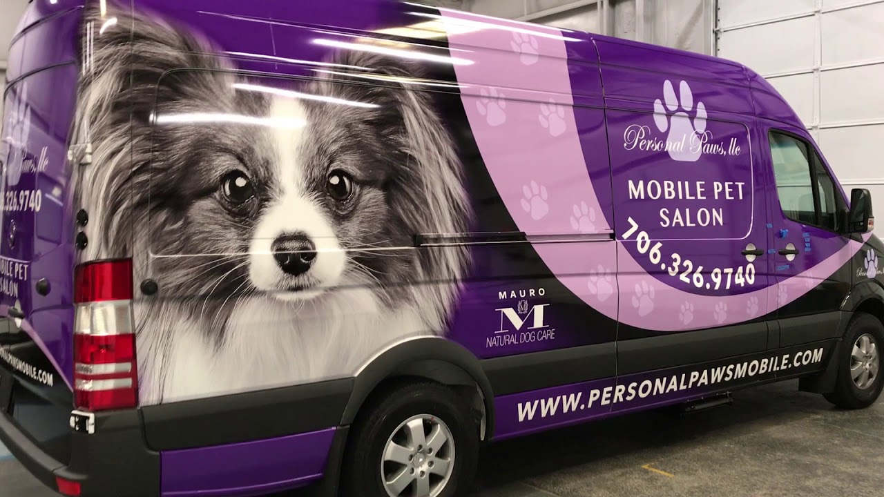 used dog grooming vans