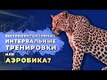 Высокоинтенсивные интервальные тренировки