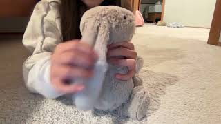 Jellycat Bunny I bought from amazon for 30 dollars.