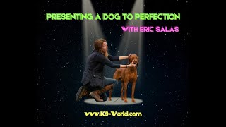 Presenting a Dog to Perfection - with Eric Salas