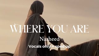 Wonder where you are (vocals only) [nasheed] (sped up) Resimi