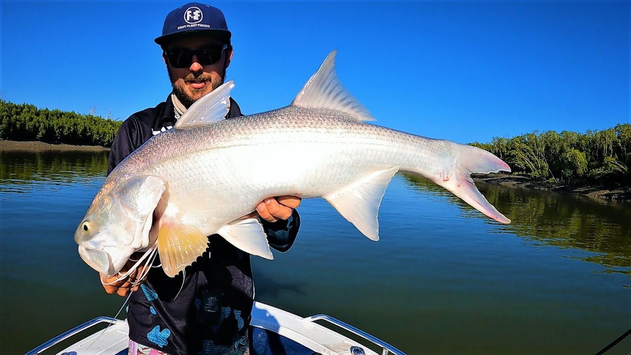 MENTAL River Fishing In North Queensland Barramundi Threadfin Salmon MENTAL River Fishing In North Queensland Barramundi Threadfin Salmon