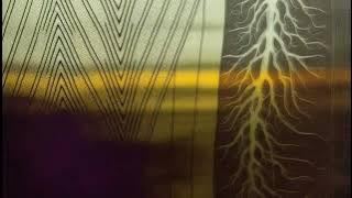 TH3 53C0ND 1NJ3CT10N - Paranoid American