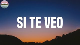 Arcangel - Si Te Veo (Lyrics)