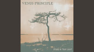 Miniatura del video "Venus Principle - Barricades"