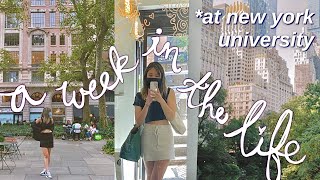 a week in the life of an nyu student