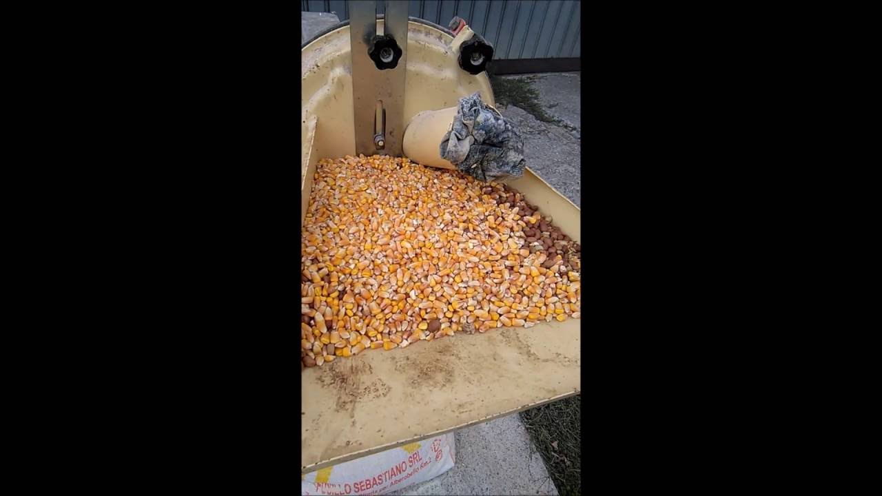 preparazione macinato per animali con molino a corrente.