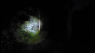 Suburban Sasquatch Whistle At Night