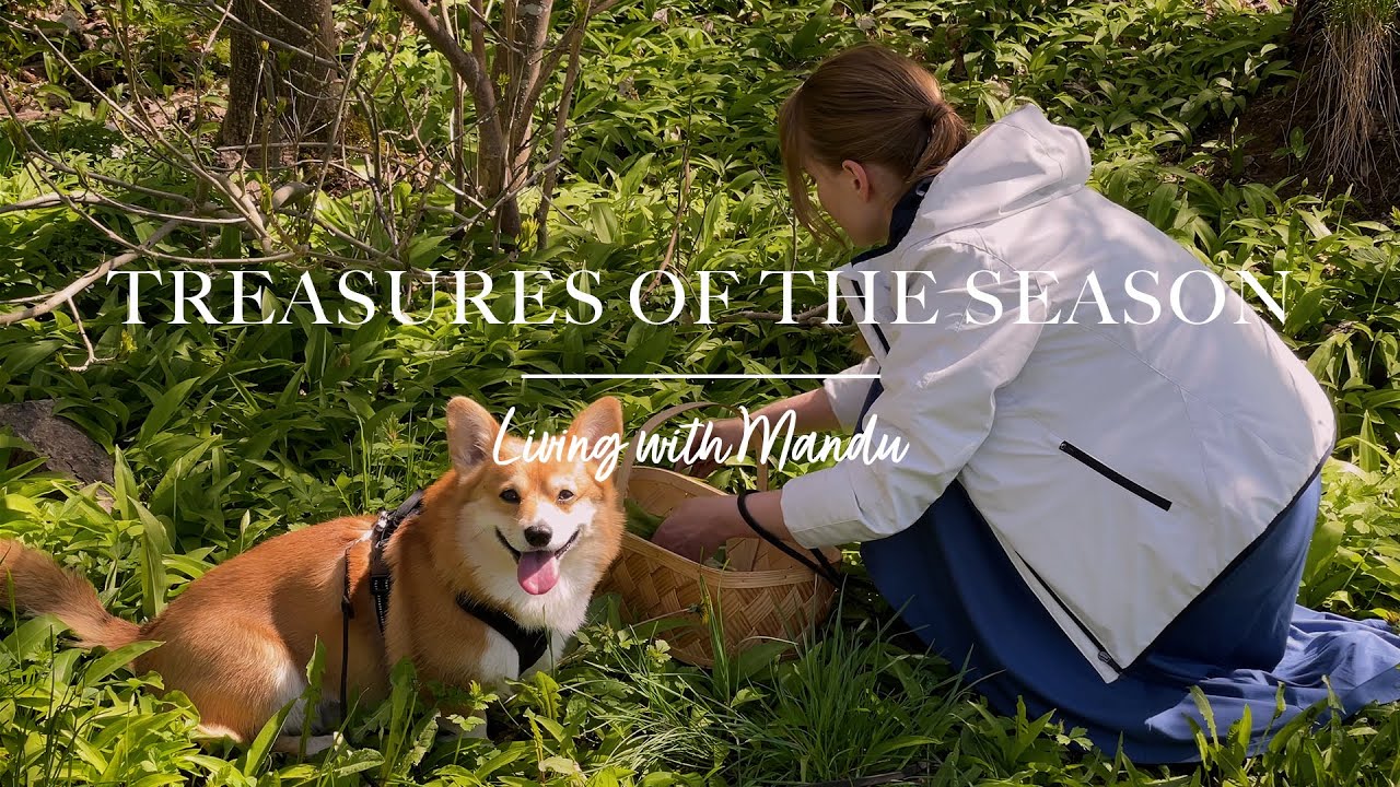 🌱 Сокровища сезона | Раннее лето в Швеции | Living alone Vlog