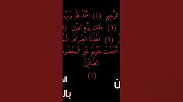 سورة الفاتحة @حافظ.عبدالحليل.أميراحمد #دويتو #البخل #اكسبلور #المراره #لايك #المراه #الثامن #التغطيه