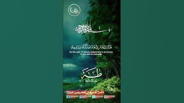 #دار_القرآن #duet #القرآن_الكريم #تلاوة_صوت_جميل_عذب #اكسبلور #دويتو #dar_alkoran #راحة_نفسية