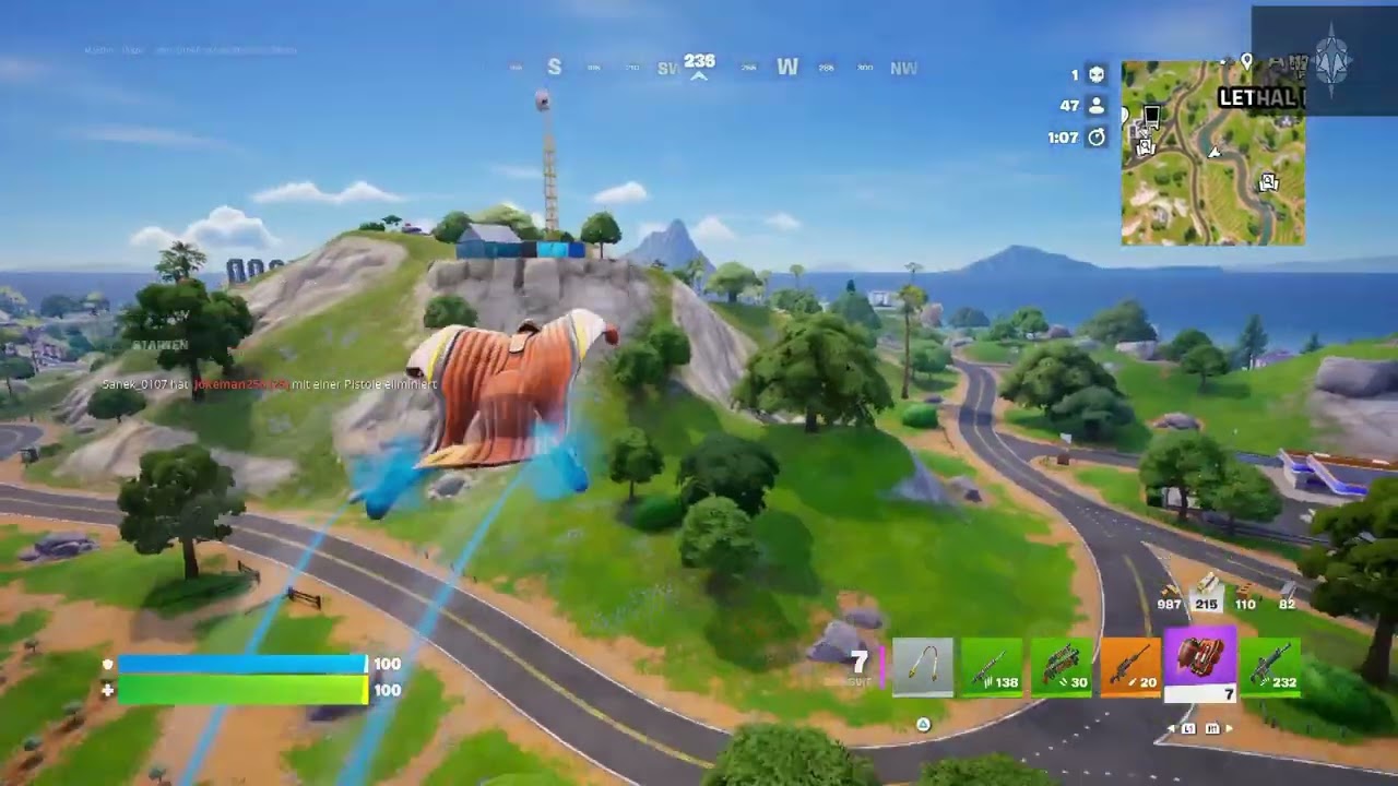 Fortnite Battle Royal Solo 24