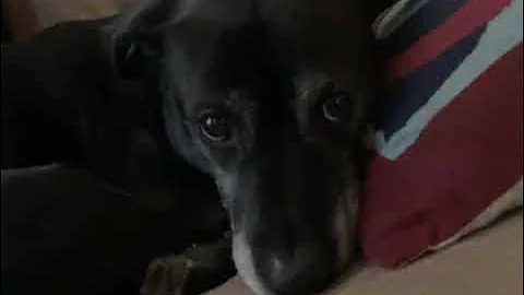 76192222071  EA9FAE39 CCE6 4E47 B04D 6220739656DA