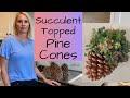 DIY How to make hanging SUCCULENT topped PINECONE planters  tutorial with MOODY BLOOMS