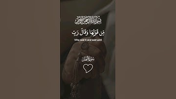 القرآن راحة النفسيه تلاوة خاشعة حالات واتس اب دينية