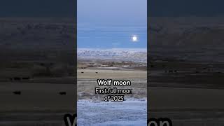 Wolf moon.            first full moon of 2025