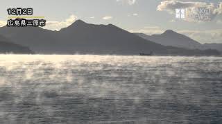 海霧