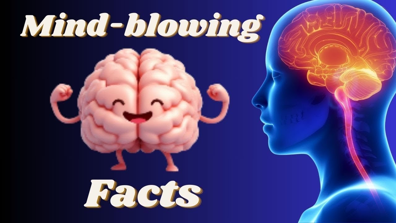 20 Fascinating Facts About the Human Brain That Will Blow Your Mind # ...