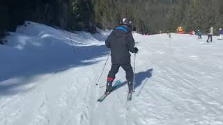 Stopping Skiing