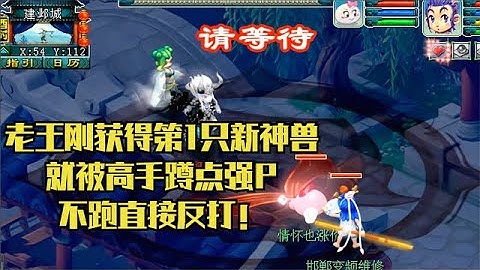 夢幻西遊：嫉妒獲得第1隻新神獸？高手蹲點強P老王！誰料不跑反打 - 天天要聞