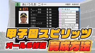 甲子園スピリッツオールS付近の育成方法【プロスピ2021】