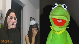 Kermie meets some of his fans on Omegle
